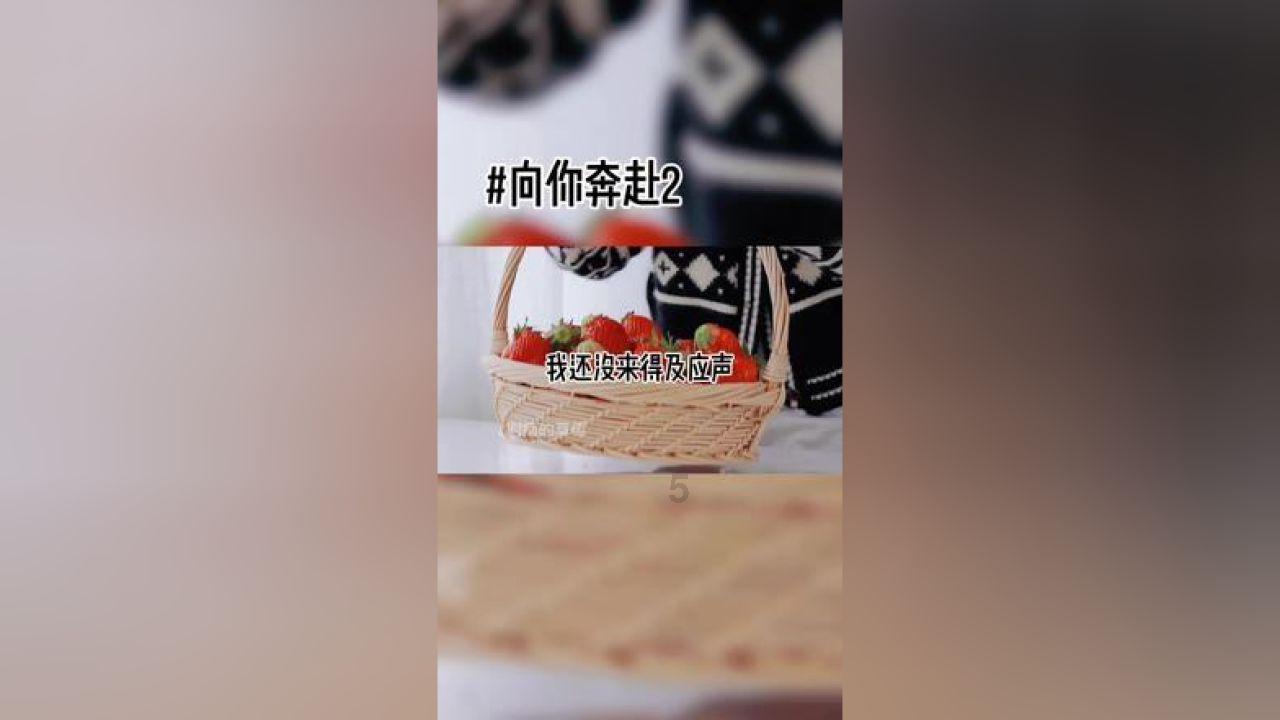 美妙森林找不同